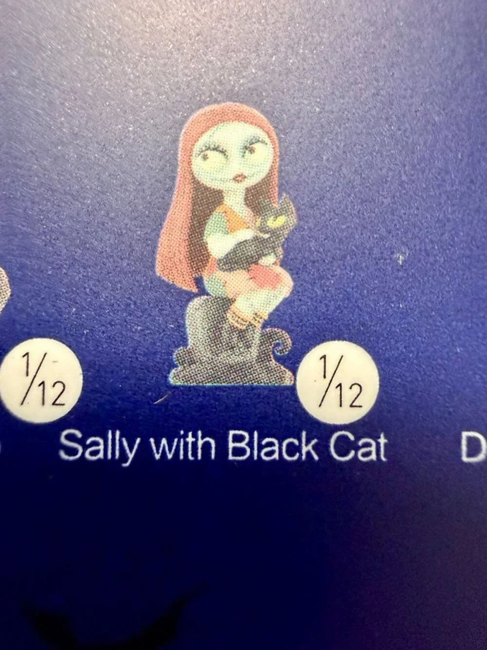 POP MART Nightmare Before Christmas Sally with Black Cat Confirmed Figure NEW